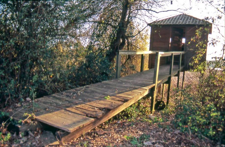 Casa O'Lado Appartement Golegã Buitenkant foto